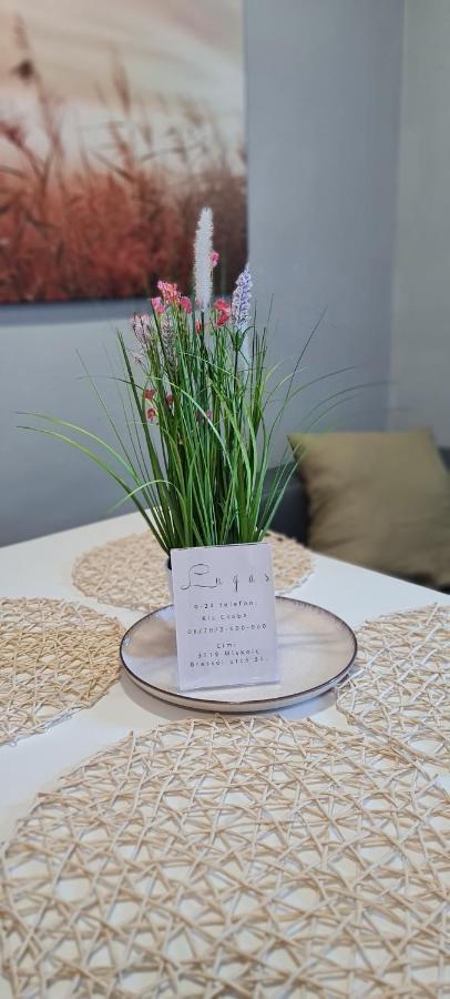 Lugas Apartman Miskolctapolca 2 Haloszoba Dezsa Es Jakuzzi Koezel A Barlangfuerdohoez Extérieur photo